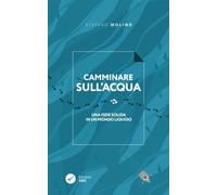 Libri Molino Stefano - Camminare Sull'acqua. Una Fede Solida In Un Mondo Liquido