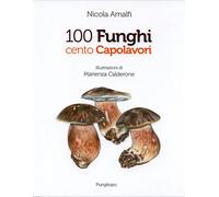Libri Nicola Amalfi - 100 funghi cento capolavori - 2014