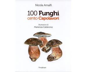 Libri Nicola Amalfi - 100 funghi cento capolavori - 2014