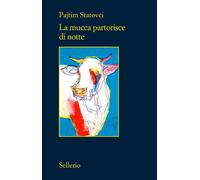 Libri Nicola Rainò - La mucca partorisce di notte - 2026