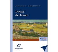Libri Occhino-Zilio Grandi-Diritto Del Lavoro.Ii