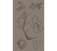 Libri Palladino Lucia - To Enter The Forest