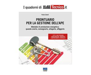 Libri Paolo Zanoli - Prontuario per la gestione dell'APE - 2017