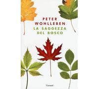 Libri Peter Wohlleben - La saggezza del bosco - 2018 (Saggi)