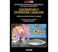 Libri Plotino Gianluca / Grande Nicola Maria - Sagomatura E Detersione Canalare
