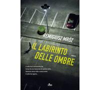 Il labirinto delle ombre