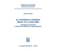 Il controllo interno nelle s.p.a. bancarie. Lineamenti evolutivi e profili di specialità organizzativa