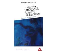 Libri Salvatore Brizzi - Come La Pioggia Prima Di Cadere. Appunti Di Non-Dualita