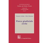 Trattato del diritto privato. Prova giudiziale civile (Vol. 7)
