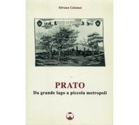Libri Silvano Calamai - Prato Da Grande Lago A Piccola Metropoli