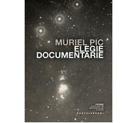 Libri Silvano Facioni - Elegie documentarie - 2026 (Cromie)