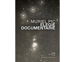 Libri Silvano Facioni - Elegie documentarie - 2026 (Cromie)