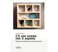Libri Silvia Vecchini - C'e Una Poesia Che Ti Aspetta. Pensieri E Pratiche Per S