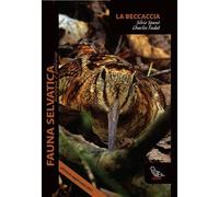 Libri Silvio SpanÃ² / Charles Fadat - La Beccaccia