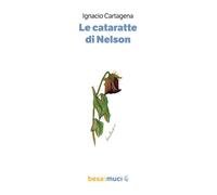 Libri Simone Greco - Le cataratte di Nelson - 2026 (Orizzonti)