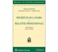 Libri Stefano Giubboni / Giuseppe Ludovico / Andrea Rossi - Infortuni Sul Lavoro