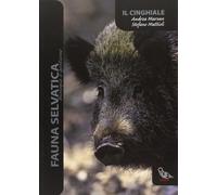 Libri Stefano Mattioli / Andrea Marsan - Il Cinghiale