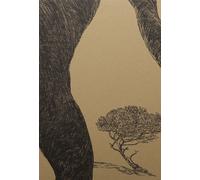 All'ombra di un pino. Ediz. illustrata - Vigni Stefano, Agus Massimo