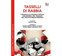 Libri Tasselli Di Rabbia. I Giovani E La Violenza Diffusa: Una Ricerca Tra I Rag