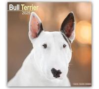 LIbri UK/US Bull Terrier Calendar 2025 Square Dog Breed Wall Calendar - 16 Month