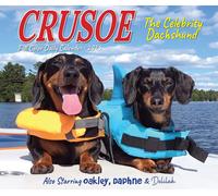 LIbri UK/US Crusoe The Celebrity Dachshund 2025 6.2 X 5.4 Box Calendar