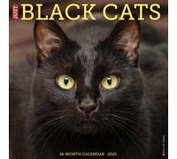 LIbri UK/US Willow Creek Press - Just Black Cats 2025 12 X 12 Wall Calendar
