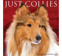 LIbri UK/US Willow Creek Press - Just Collies 2025 12 X 12 Wall Calendar