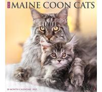 LIbri UK/US Willow Creek Press - Just Maine Coon Cats 2025 12 X 12 Wall Calendar
