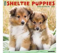 LIbri UK/US Willow Creek Press - Just Sheltie Puppies 2025 12 X 12 Wall Calendar