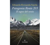 Patagonia route 203. Il segno del vento