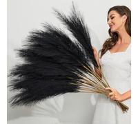 LIBRNTY 20PCS Fiori secchi pampas,piume decorative per vaso,nero mazzo fiori secchi,Adatto per tavola di nozze, decorazione boho, soggiorno, camera da letto(NERO)
