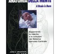 LIBRO ANATOMIA DELLA MENTE. A BRAIN IS BORN - JOHN E. UPLEDGER