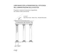 Libro bianco per la promozione dell'efficienza nell'amministrazione della ...