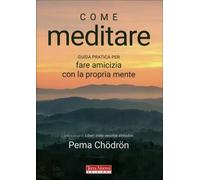LIBRO COME MEDITARE - FARE AMICIZIA CON LA PROPRIA MENTE - PEMA CHODRON