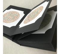 Libro di prova di daltonismo con 38 piatti per lo screening e la diagnosi della carenza di visione