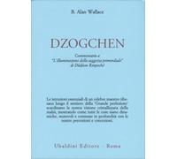 LIBRO DZOKCHEN. COMMENTARIO A L'ILLUMINAZIONE DELLA SAGGEZZA PRIMORDIALE WALLACE