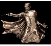 Libro Figura Nel Duello - Avada Kedavra Harry Potter Collettore Film Merch