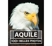 Libro Fotografico - Aquila - Grande Collezione Incredibile: 100 Bellissime Foto Di Aquila In Una Fantastica Collezione - Per Bambini E Adulti