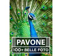 Libro Fotografico - Pavone - Grande Collezione Incredibile: 100 Bellissime Foto Di Pavone In Una Fantastica Collezione - Per Bambini E Adulti