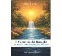 LIBRO IL CAMMINO DEL RISVEGLIO - BRUNO ENRICO - GIULIANO FUOCO