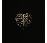 LIBRO IMPARA A PARLARE CON GLI ALBERI - MICHELE GIOVAGNOLI