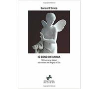 LIBRO IO SONO UN'ANIMA. RITROVARE SE STESSI ED ENTRARE NEL REGNO DI DIO D'ERRICO
