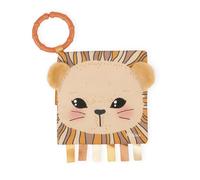 Libro Multiatività Kaloo Il Leone Curioso