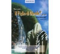 LIBRO NON E' COSTUI..IL FIGLIO DI DAVIDE? DICEVA TUTTA LA FOLLA - MARIO PICCOLI