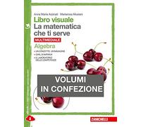 Libro visuale la matematica che ti serve. Algebra-Geometria 3. Per la Scuola media. Con e-book. Con espansione online