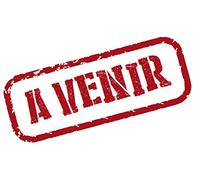 License to kill - permis de tuer