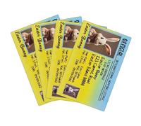 Licenza di Pasqua Bunny Lost, Licenza di Coniglio di Pasqua | 4x Carta di Coniglio Divertente | Carta di decorazione di novità del Driver di Pasqua per e