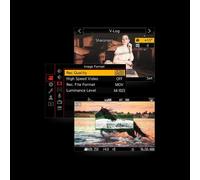 Licenza Software Panasonic DMW-SFU2GU Upgrade per Lumix S1 V-Log 4K 10 bit