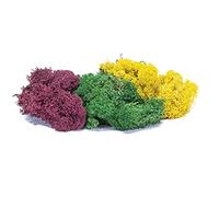Lichen - Grande Autunno Mix