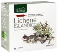 LICHENE ISLANDICO 15AMPX15ML